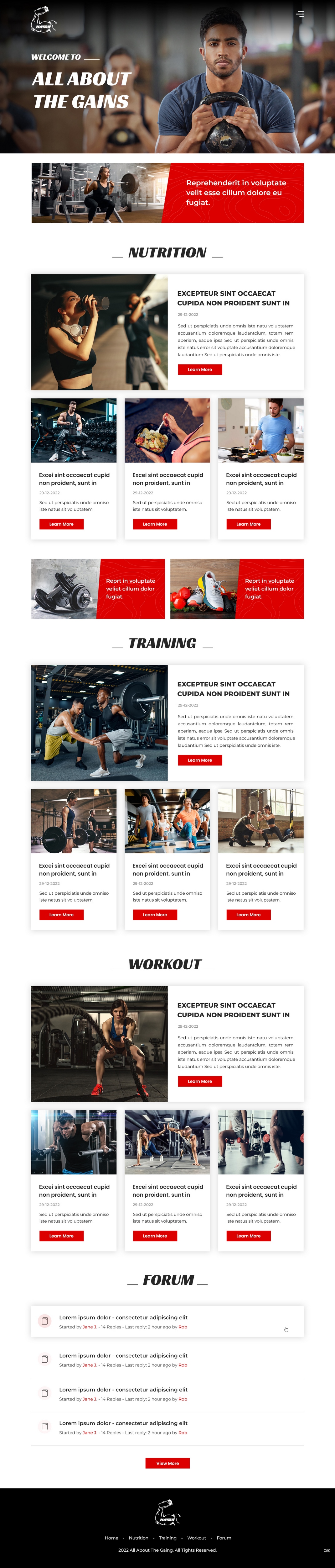 Diseño Web por pb para este proyecto | Diseño #29745964
