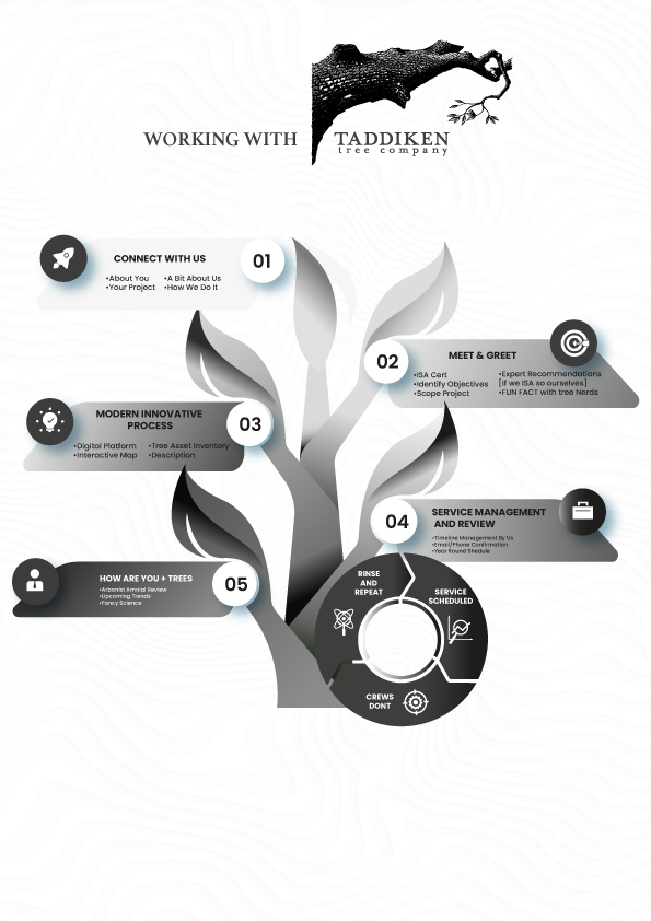 Graphic Design by Mgco.dsgn for this project | Design #29761628