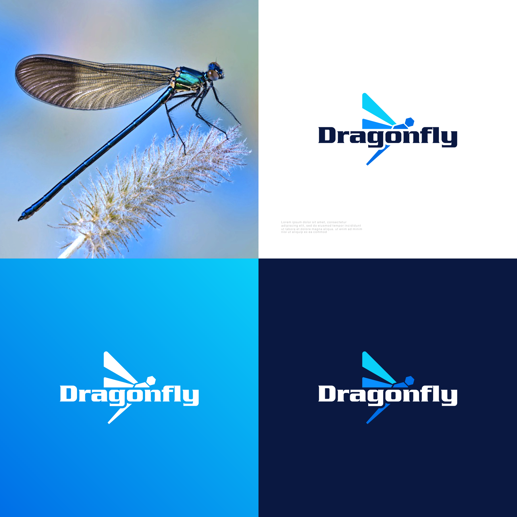 Logo-Design von sabina aiko für dieses Projekt | Design #29755591