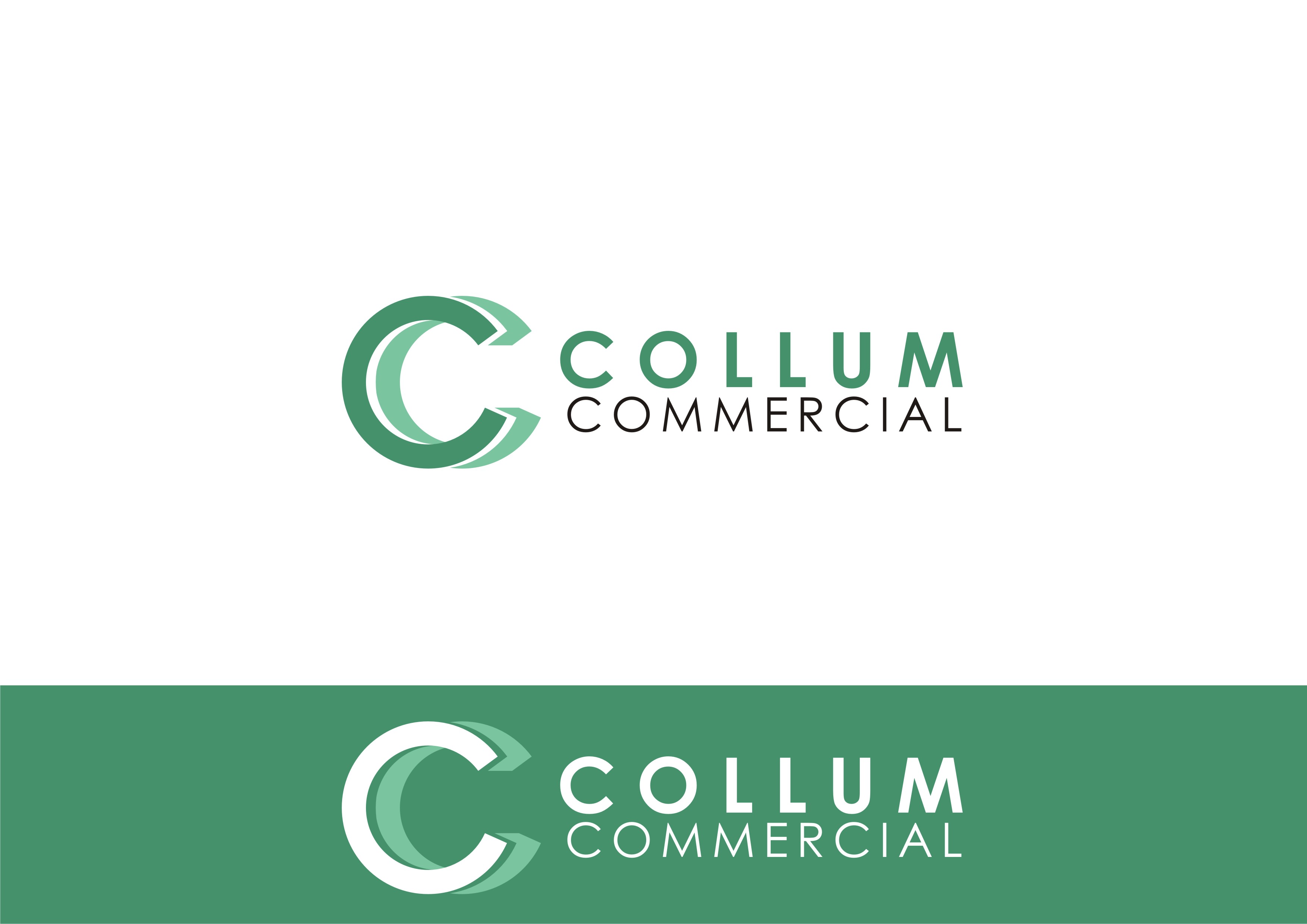 Diseño de Logo por rgrider para este proyecto | Diseño #29750994