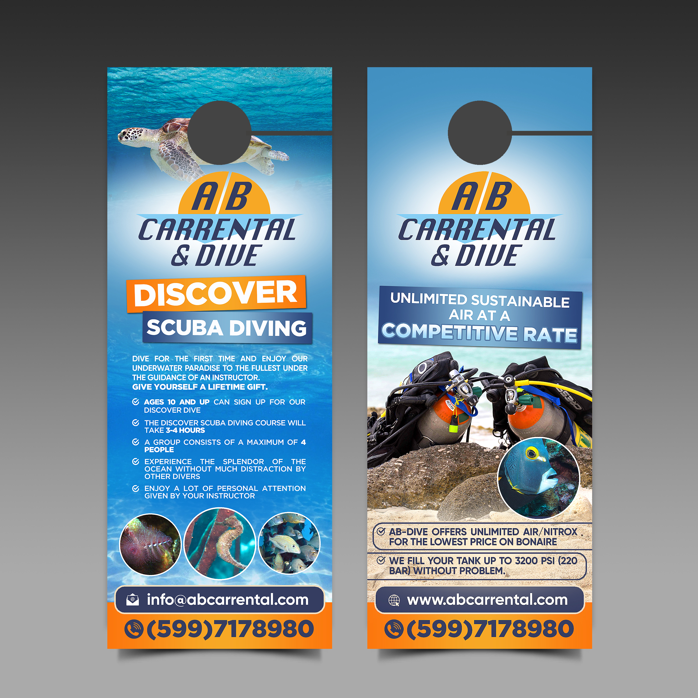 Flyer Design by Designers Hub for AB Dive | Design #29756215