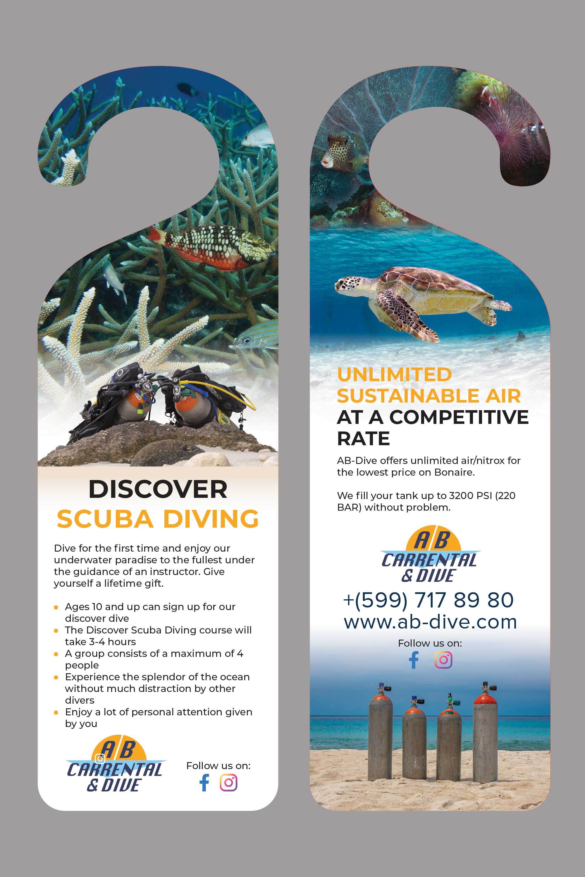 Flyer Design by Creative D2024 for AB Dive | Design #29753701