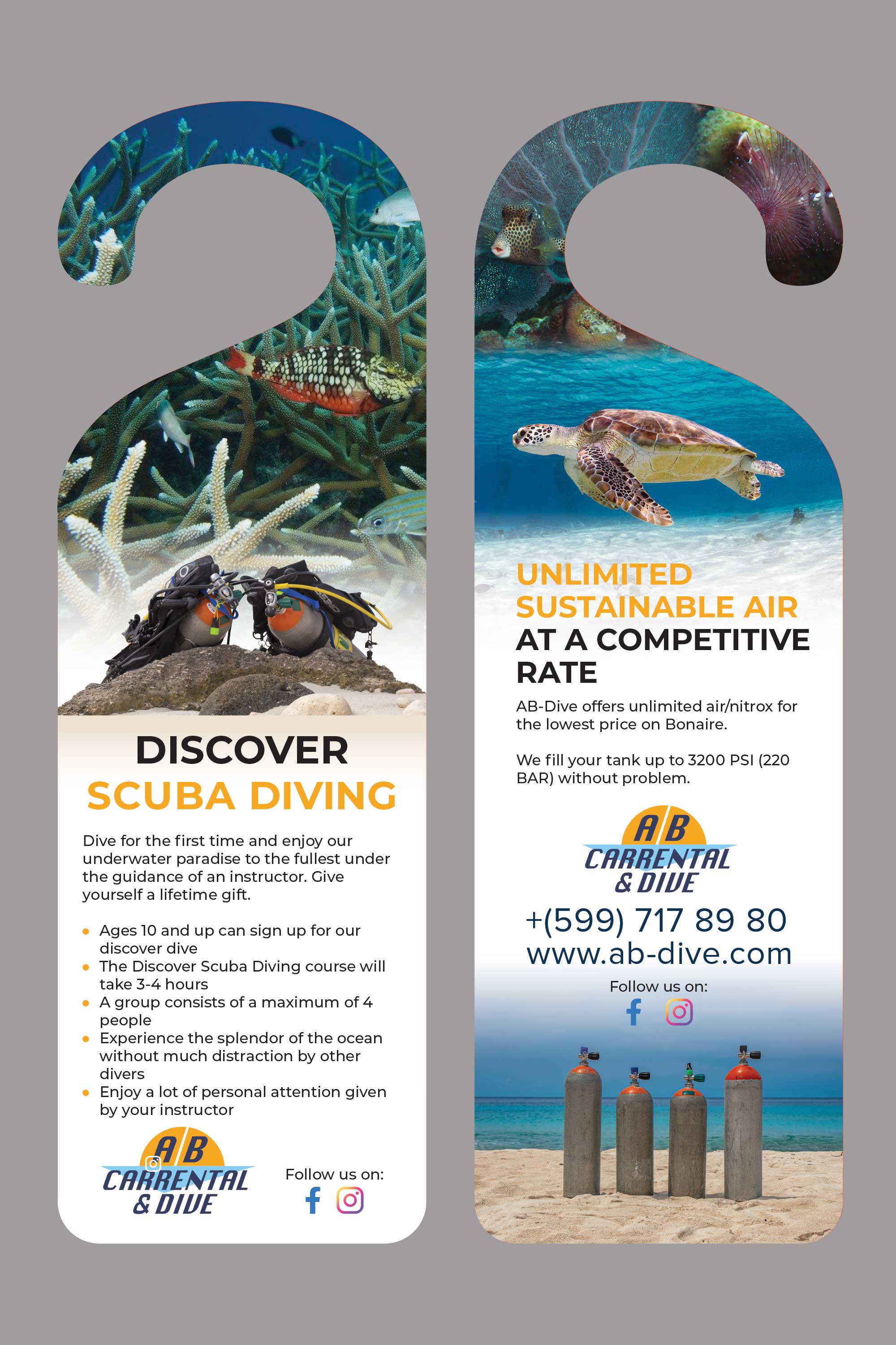 Flyer Design by Creative D2024 for AB Dive | Design #29766297