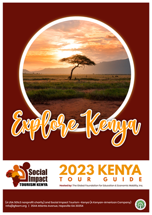 Diseño de Brochure por Expert Designer para Social Impact Kenya | Diseño: #29761102
