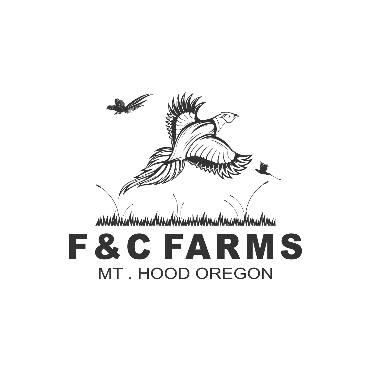 Logo Design by gusboo for this project | Design #29757209