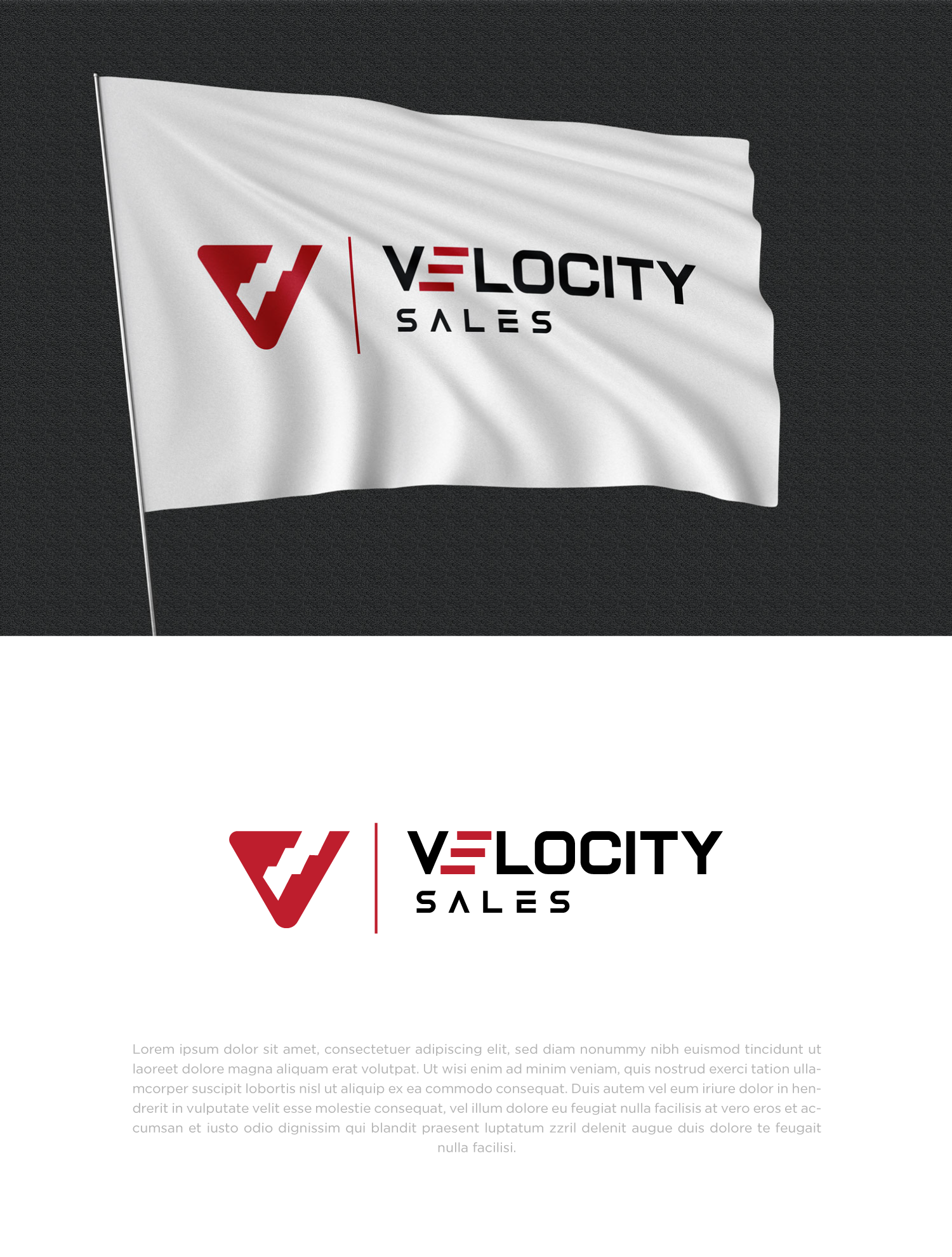 Logo Design by Abdul 20 for Velocity Sales | Design #29769161