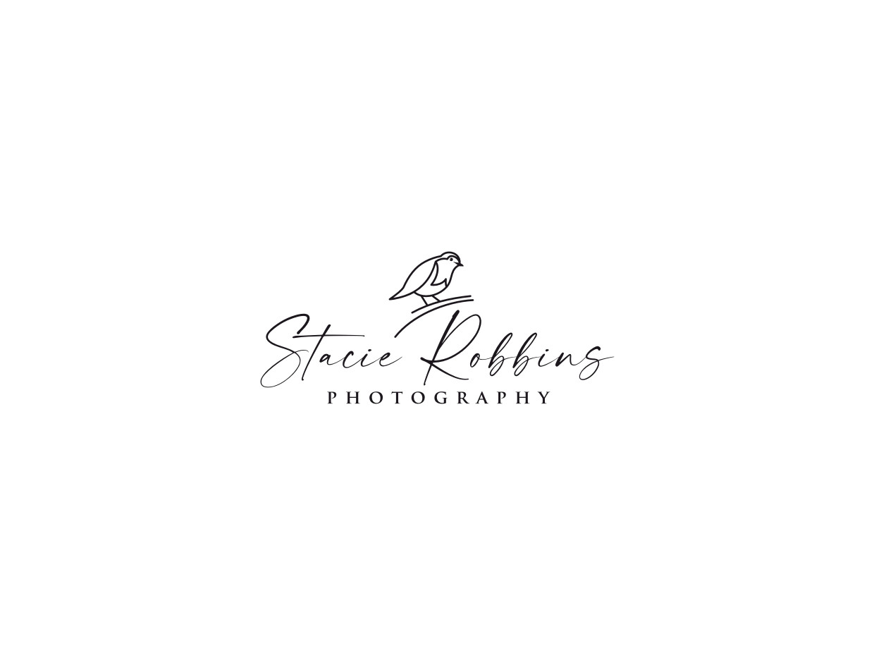 Logo Design by Atvento Graphics for this project | Design #29782145