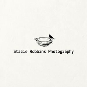 Logo Design by Alokindesign