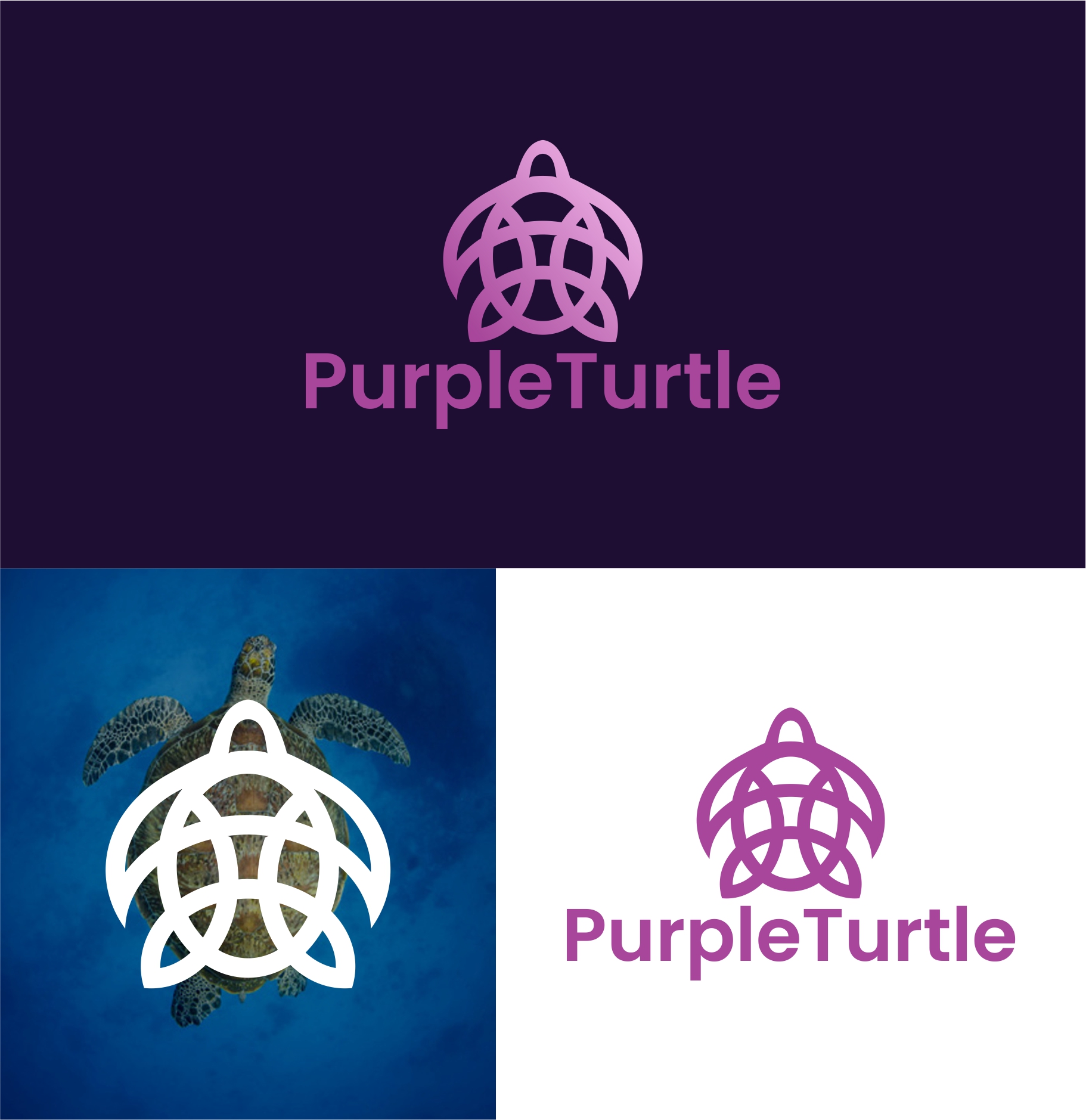 Logo Design by DesiGiNe for this project | Design #29776373