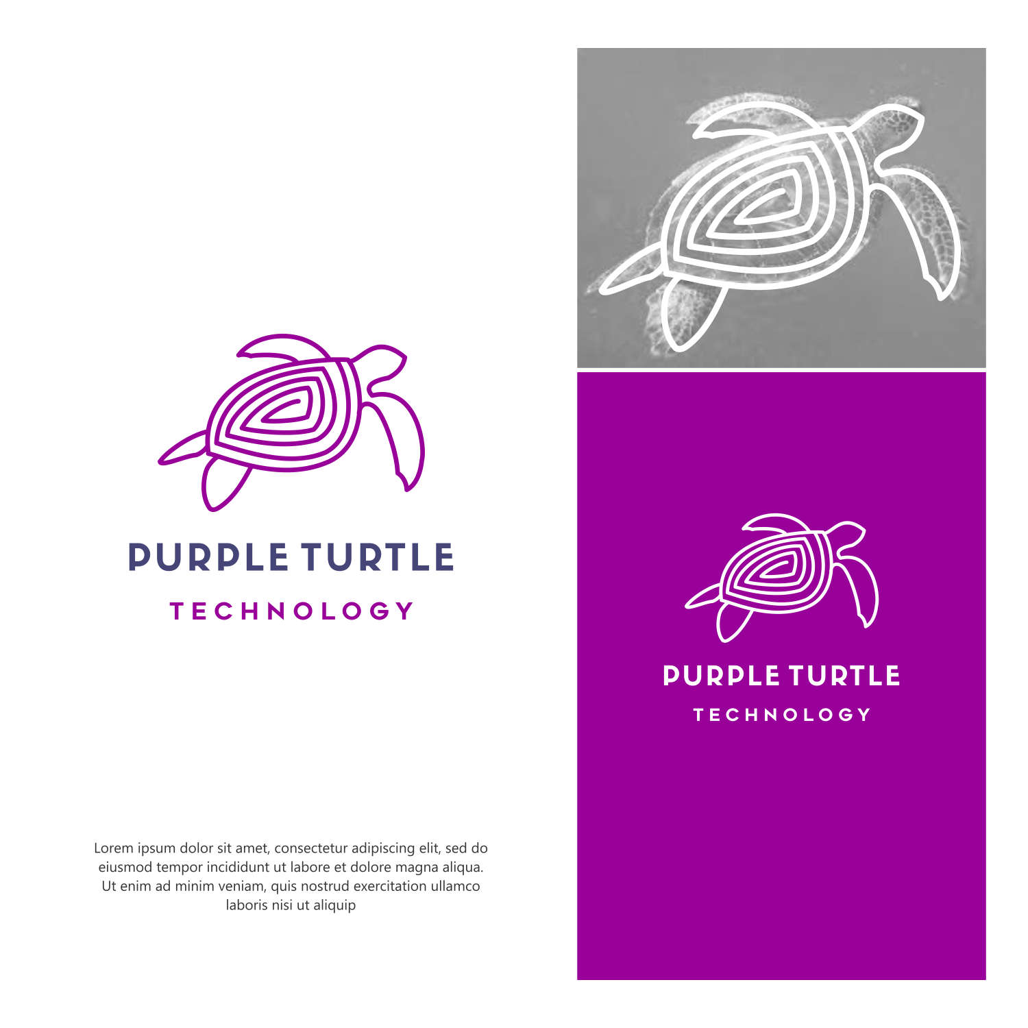 Logo-Design von ThiagoB für dieses Projekt | Design #29768095