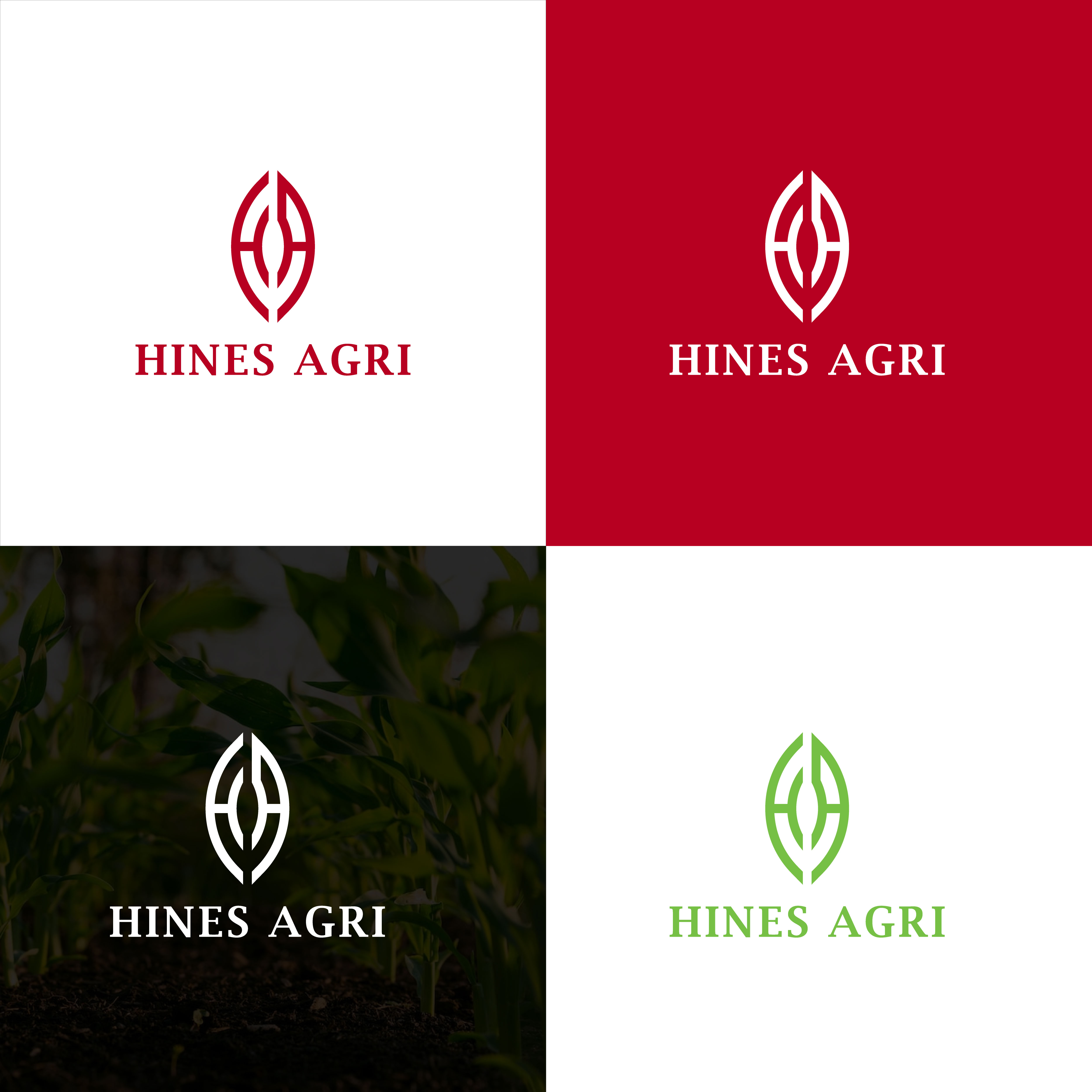 Logo Design by Sayma Fashion for this project | Design #29771746