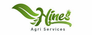 Logo Design by Sief