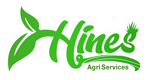 Diseño de Logo por Sief para este proyecto | Diseño: #29793222