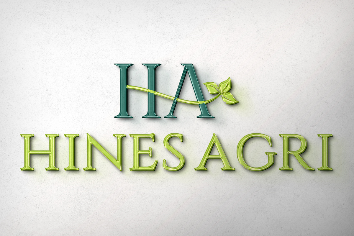 Logo Design by Shahbaz Studios for this project | Design #29776969