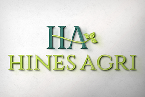 Logo Design by Shahbaz Studios for this project | Design: #29776969