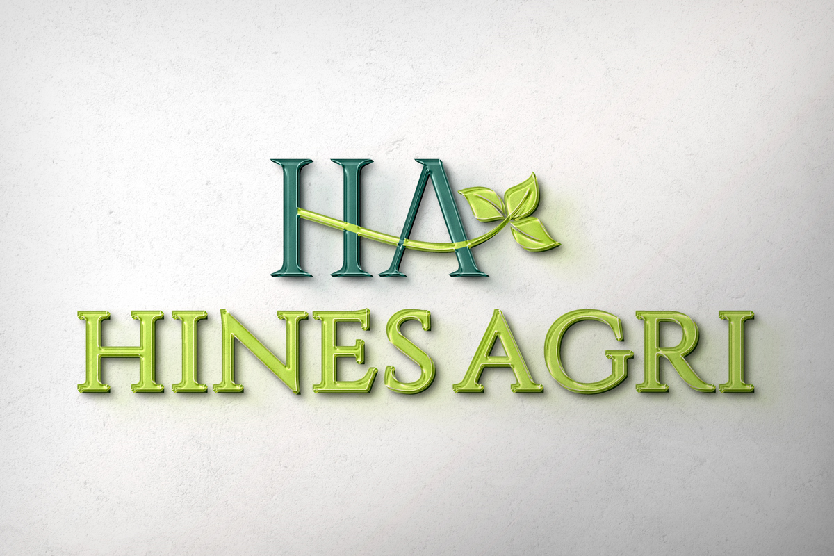 Logo Design by Shahbaz Studios for this project | Design #29777576