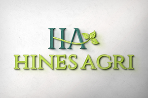 Logo Design by Shahbaz Studios for this project | Design: #29777576