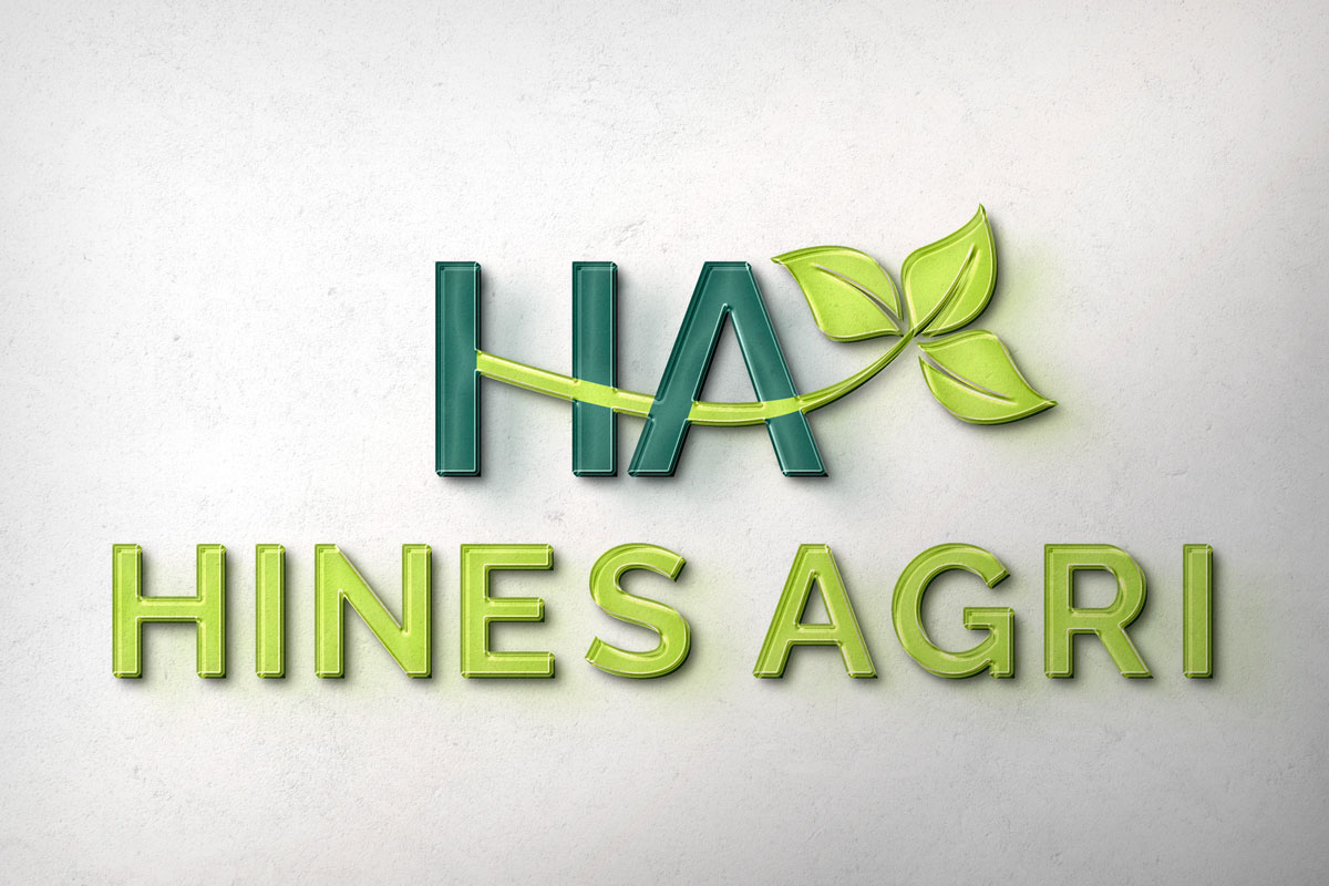 Logo Design by Shahbaz Studios for this project | Design #29777706