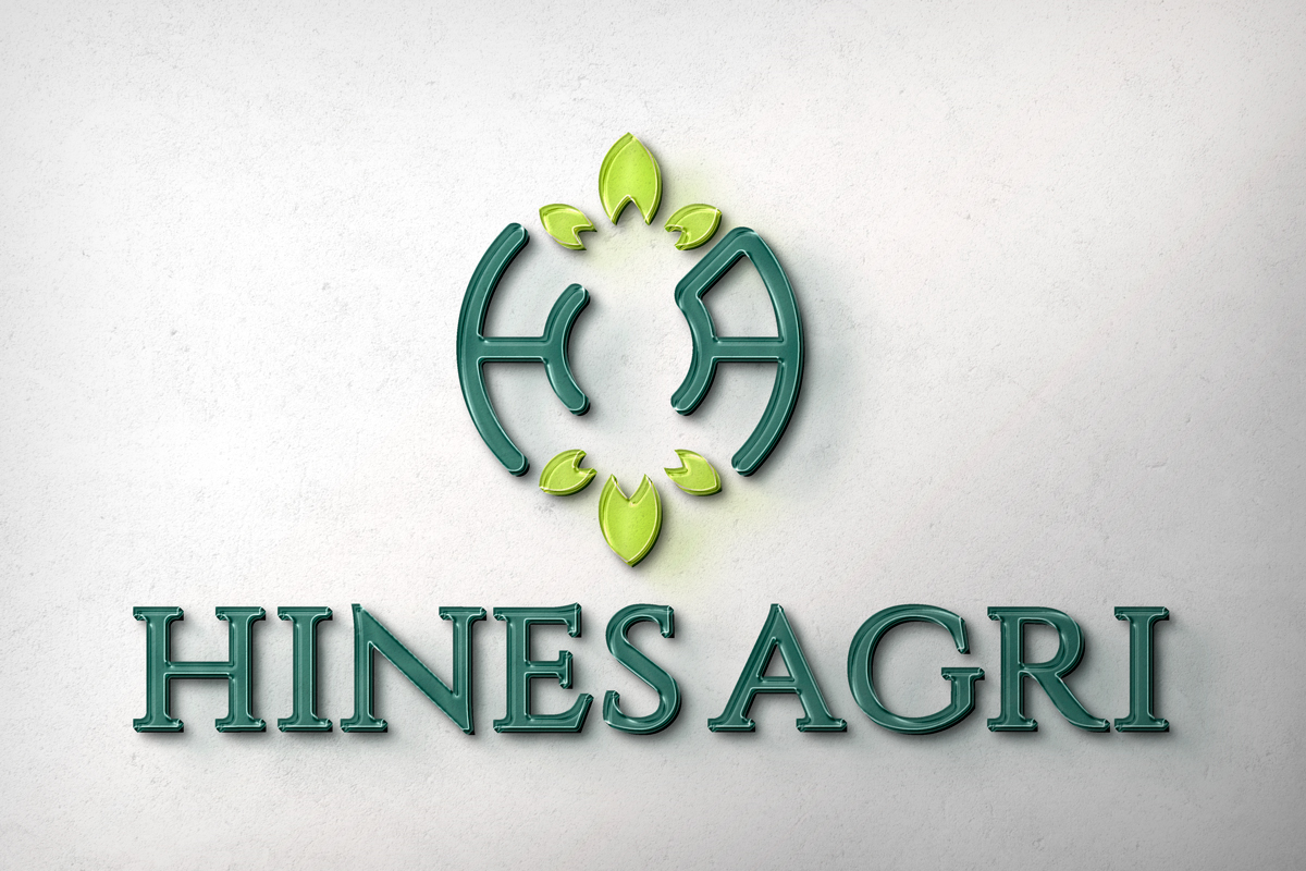 Logo Design by Shahbaz Studios for this project | Design #29782783