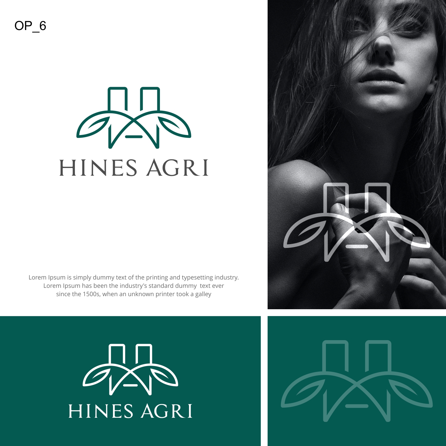 Logo Design by SanaPixel for this project | Design #29788687