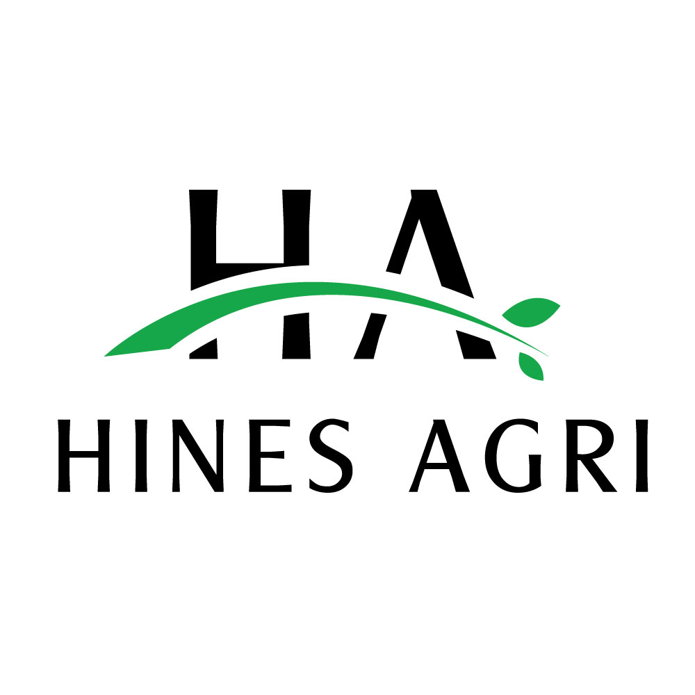 Logo Design by hosnaart for this project | Design #29800492