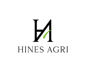 Logo Design by Abdullah Al Shohan