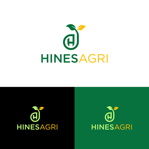 Logo Design by Logoguru Abdullah