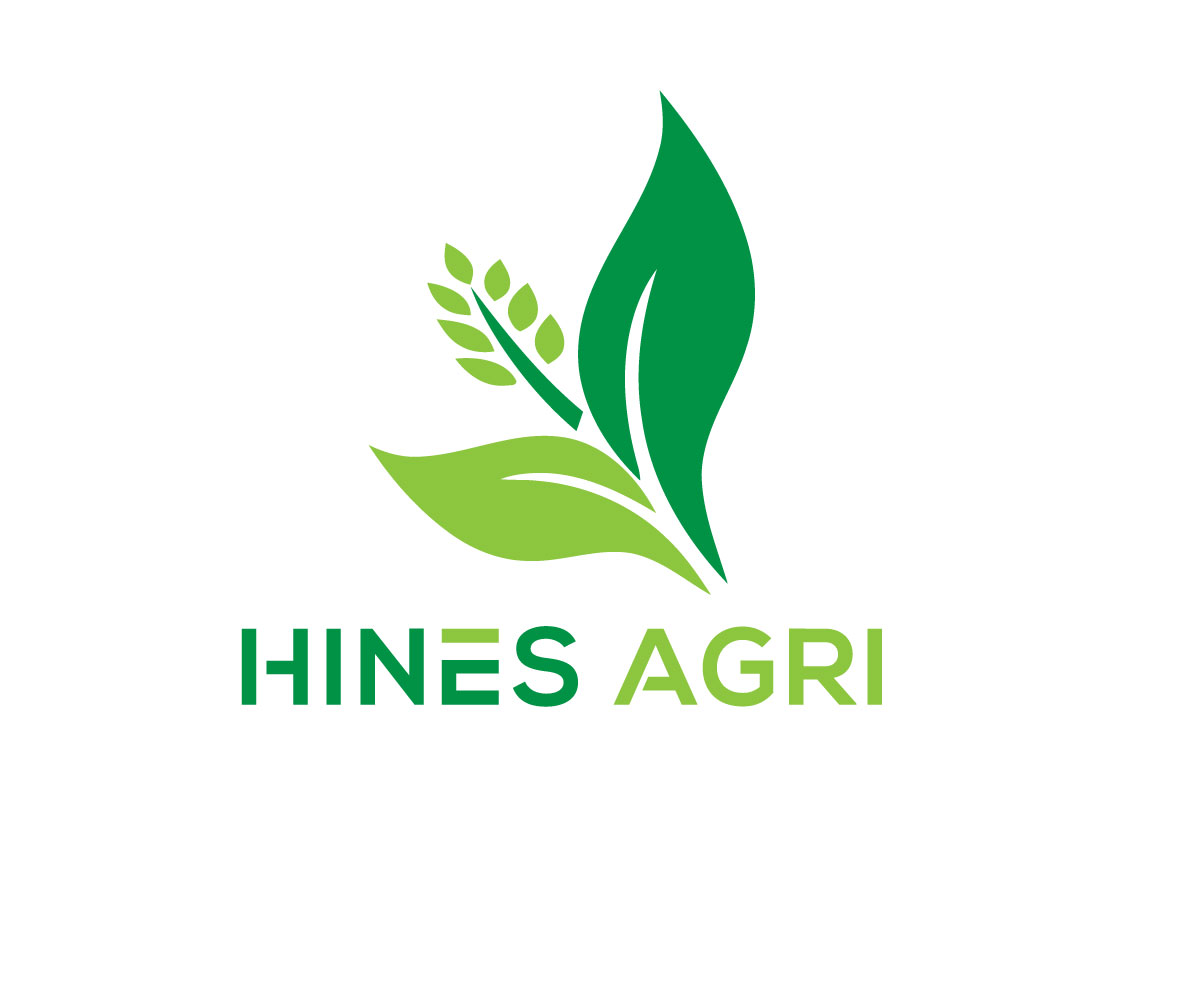 Logo Design by Ariyan Design for this project | Design #29785849