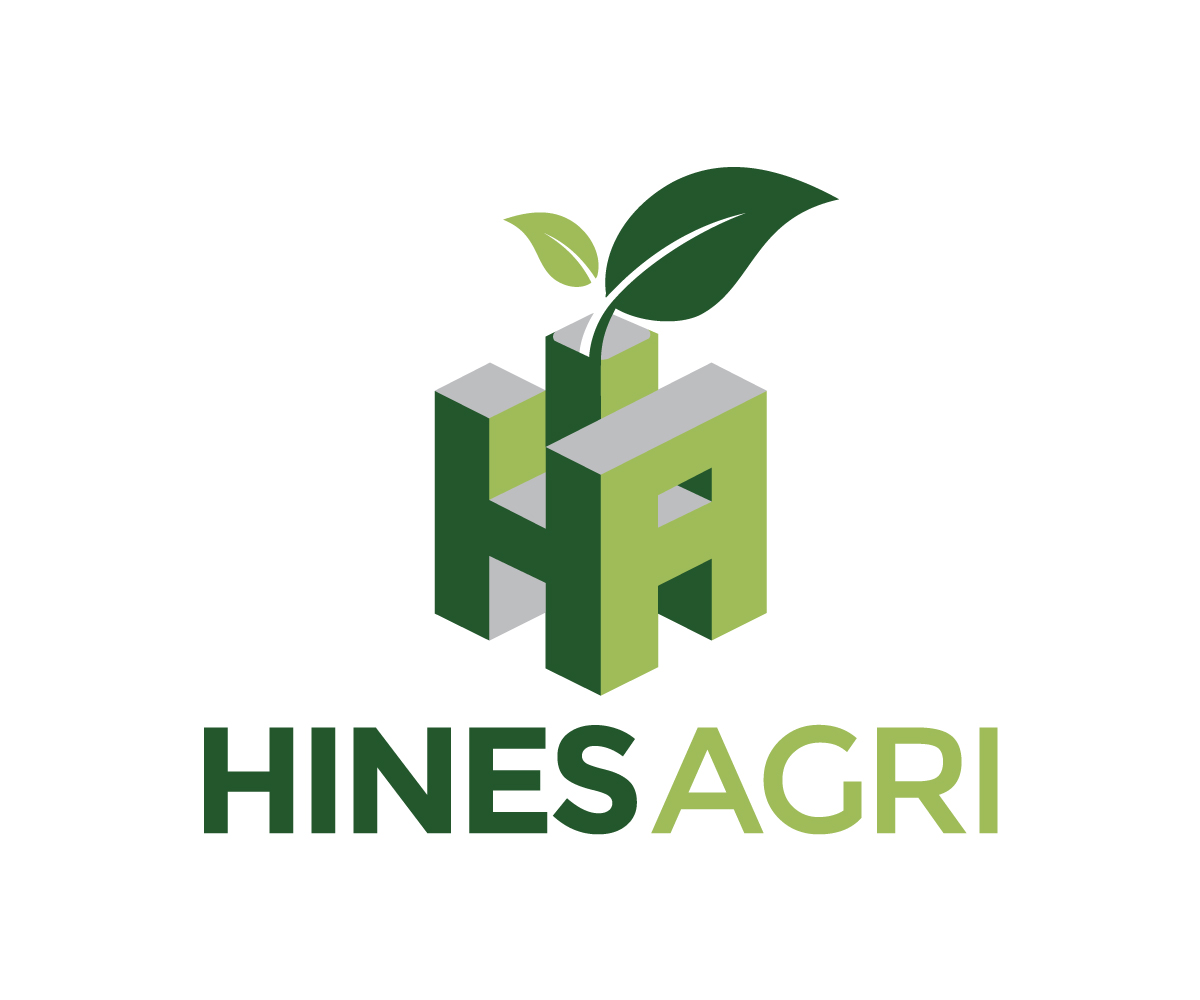 Diseño de Logo por RARAZADA para este proyecto | Diseño #29802651