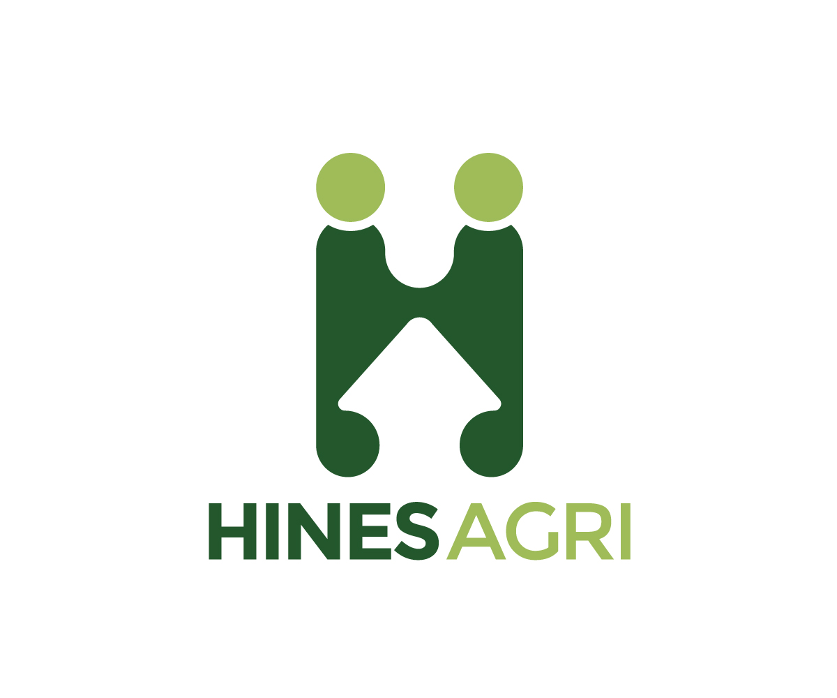 Diseño de Logo por RARAZADA para este proyecto | Diseño #29806039