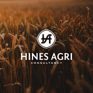 Logo Design by Oleksandr Tovarkov for this project | Design: #29779523