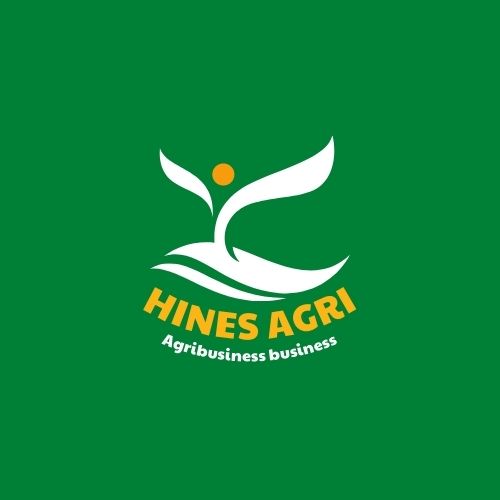 Logo Design by tariksamir for this project | Design #29806986