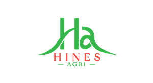 Logo Design by Javi7 for this project | Design: #29778623