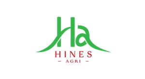 Logo Design by Javi7 for this project | Design: #29778653