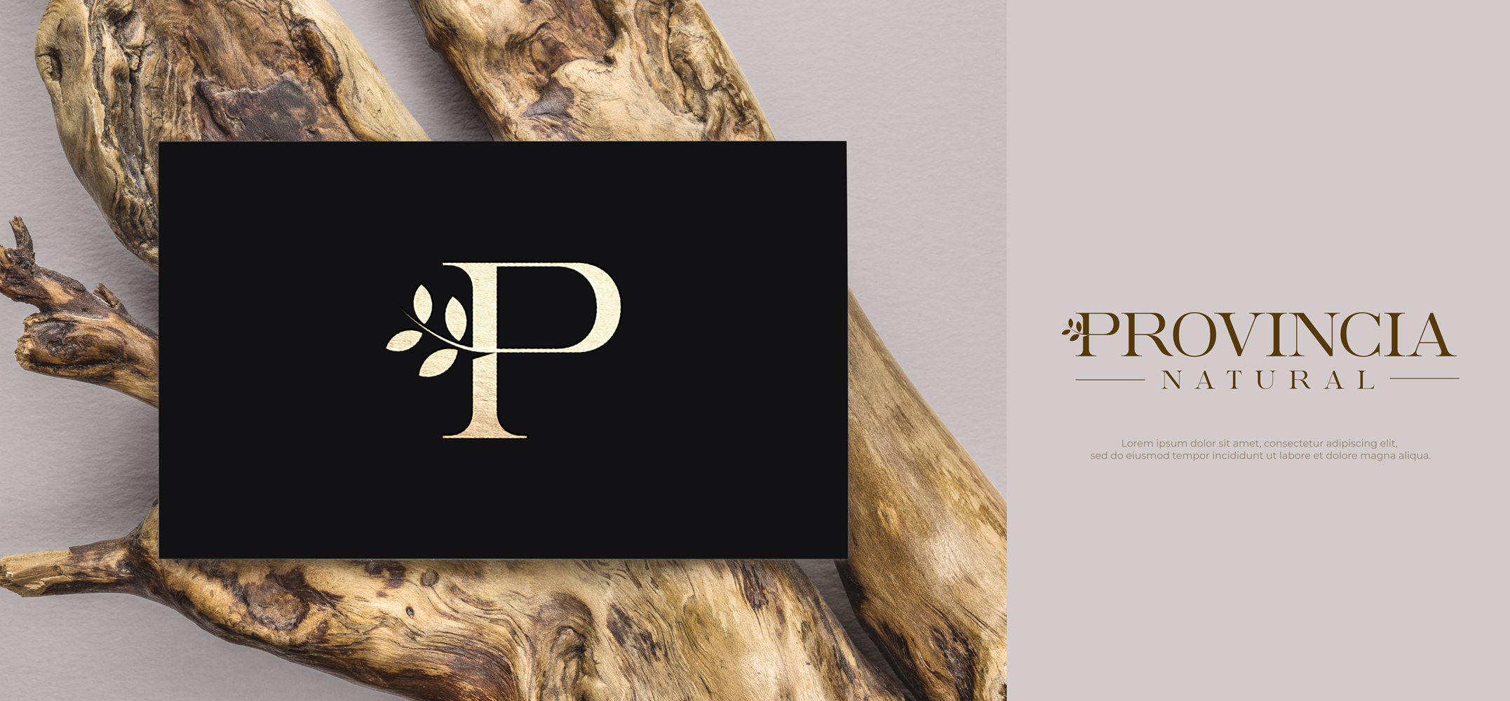 Logo Design by Senpachie for this project | Design #29766628