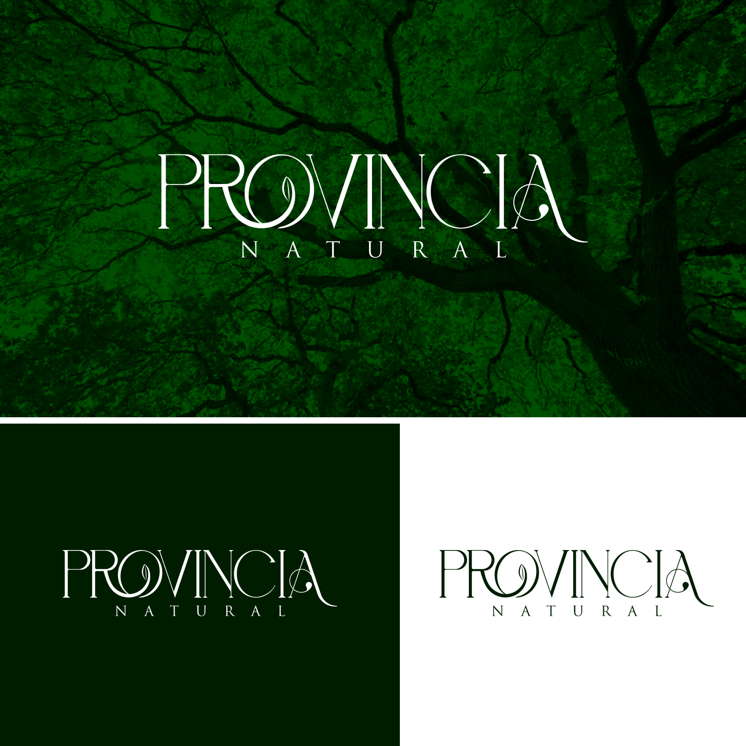 Logo Design by Revolt Team for this project | Design #29766402