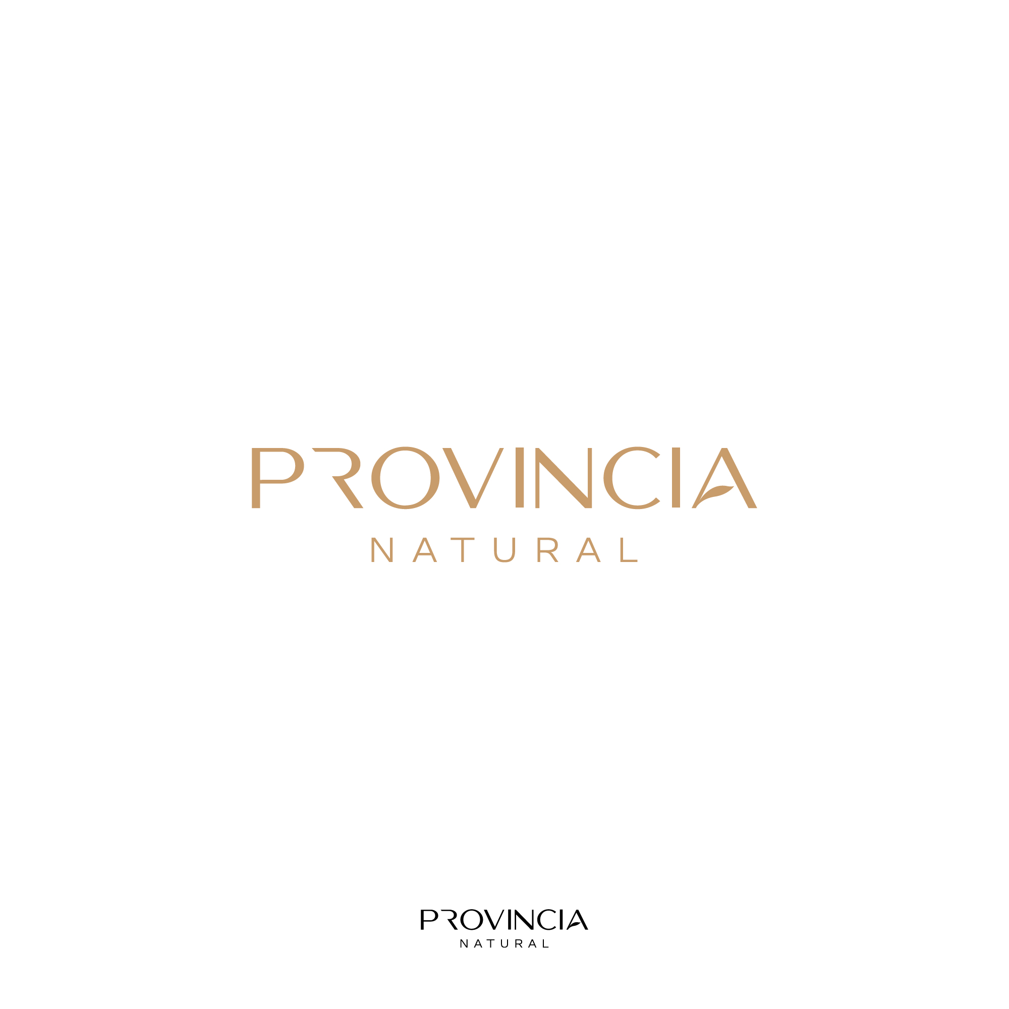 Diseño de Logo por Peroni para este proyecto | Diseño #29813570