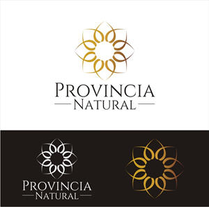 Logo Design by Barros Design for this project | Design: #29780117