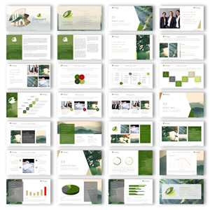 Design de PowerPoint par joseborgesbarboza 2 pour ce projet | Design : #29786389