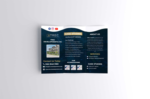 Design de Flyer par abu931102 pour ce projet | Design #29773992