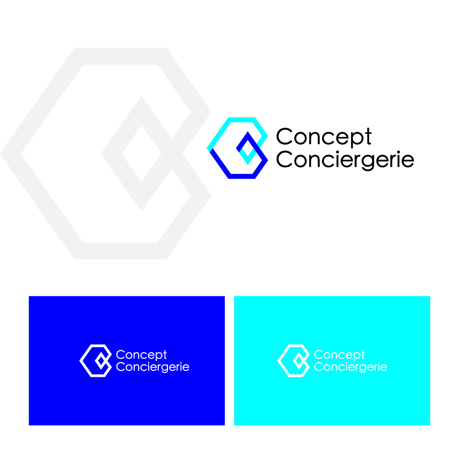 Logo Design by npikay for this project | Design #29803024