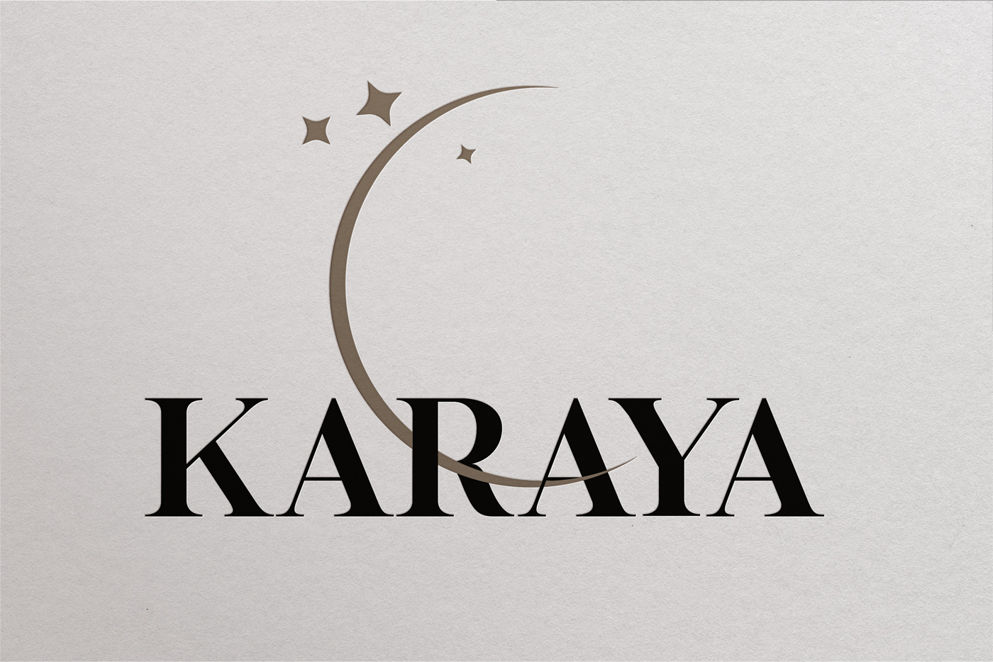 Logo Design by Amer Flehan for this project | Design #29777125