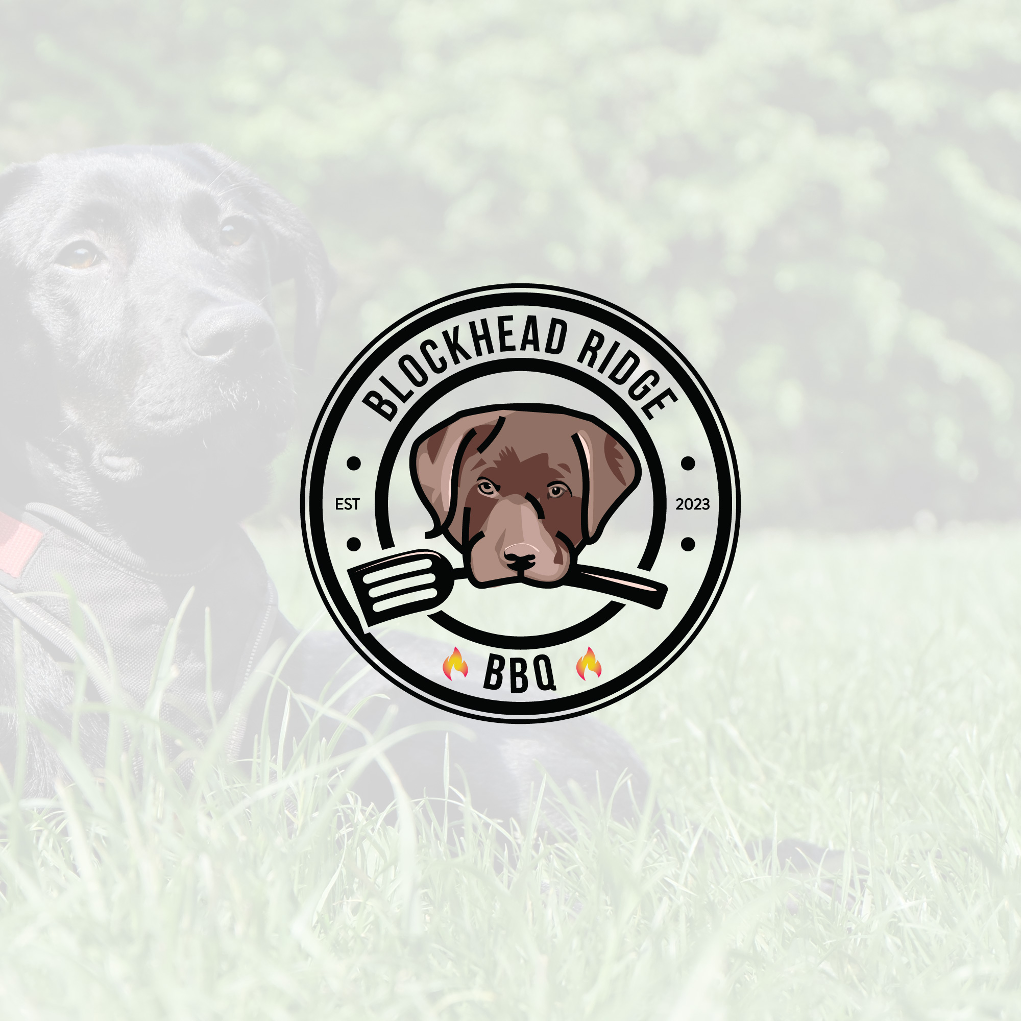 Diseño de Logo por tboydesigns para este proyecto | Diseño #29792902