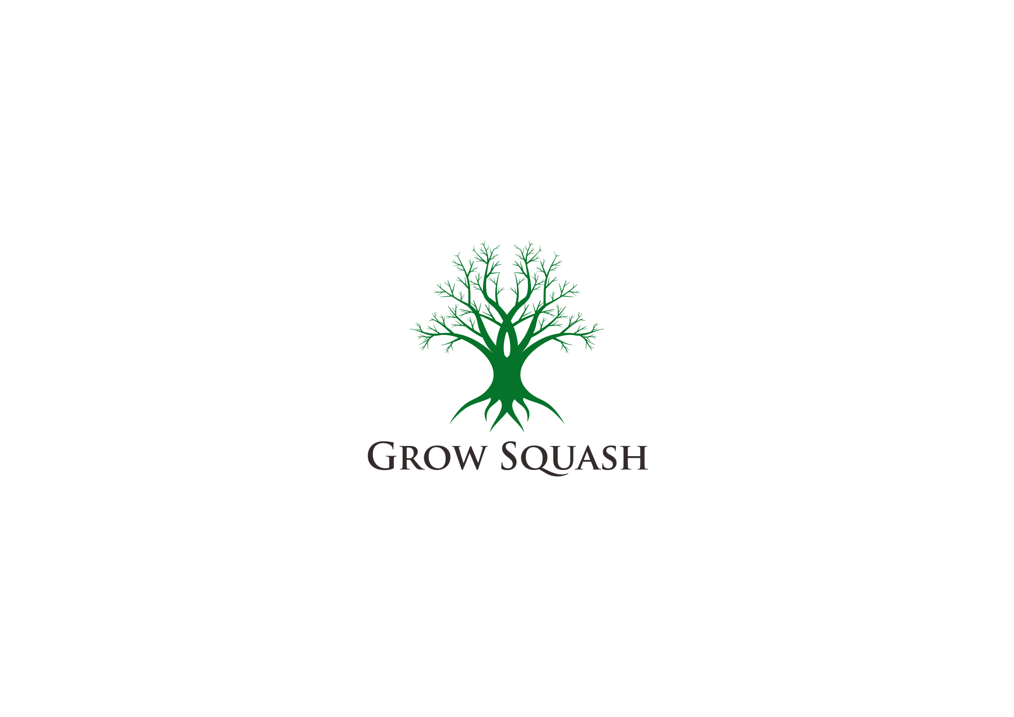 Design de Logo par Atiek pour US Squash | Design #29774366
