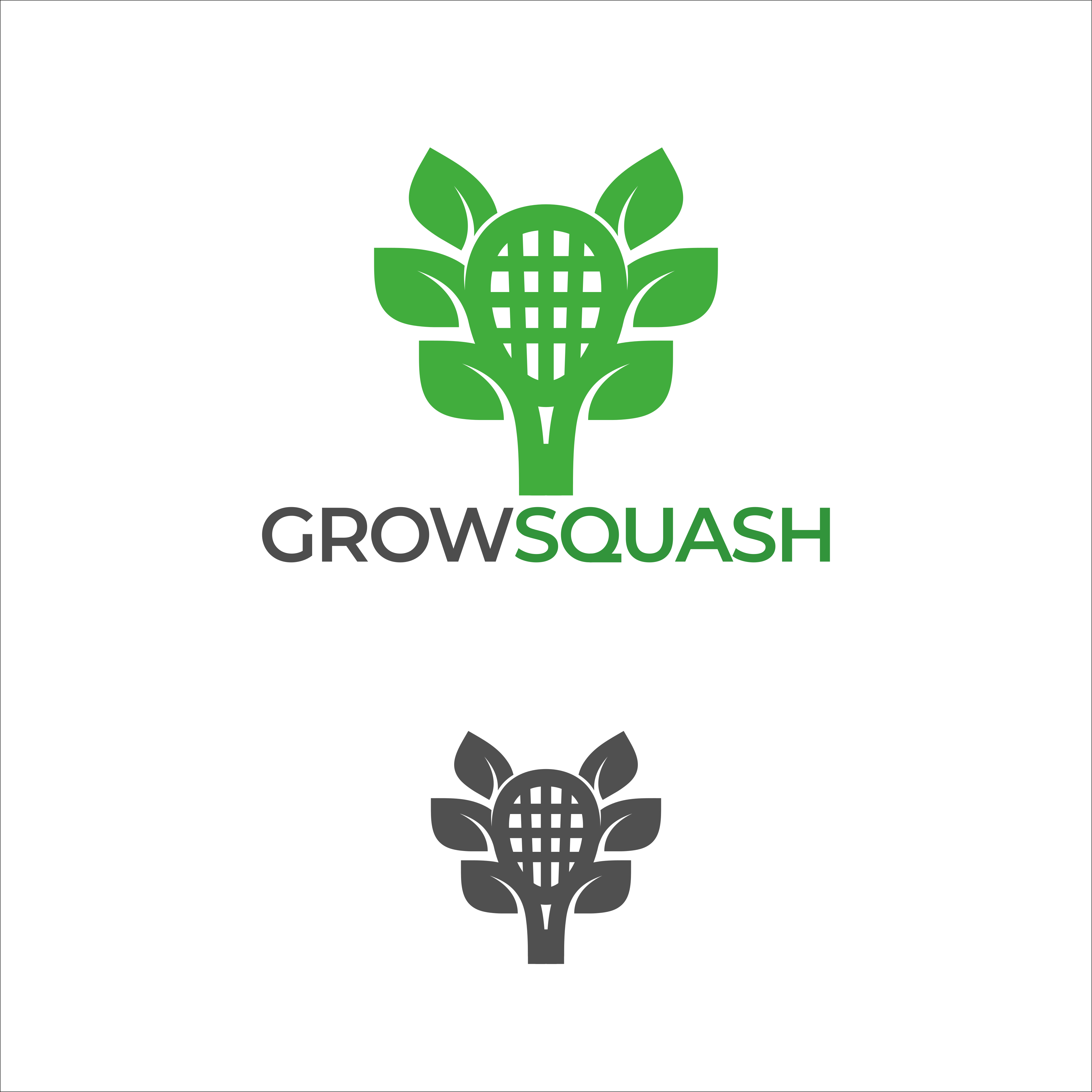 Logo-Design von marunstudio für US Squash | Design #29801321