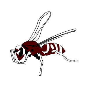 Mascot Design by devidigitalart for Athens Independent School District | Design: #29839525
