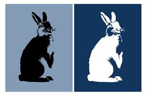 Graphic Design by ioio