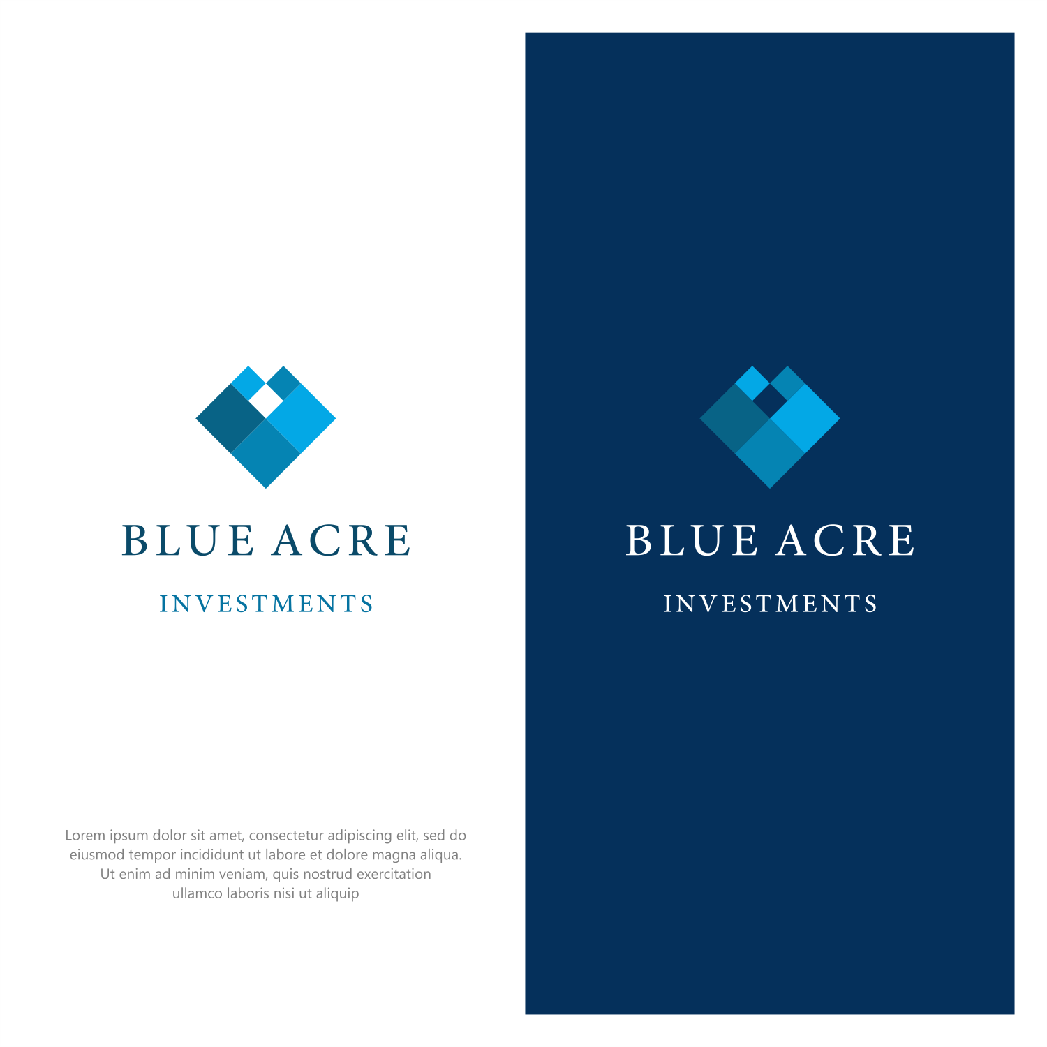 Logo Design by ThiagoB for Brushfire Strategies, LLC | Design #29780494