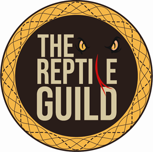 Logo Design by Daneko
