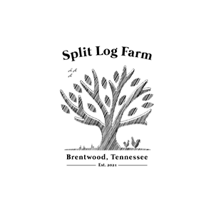 Logo Design by AngR